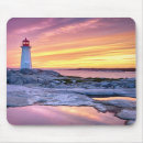 Recherche de crique tapis souris Phare
