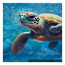 Recherche de tortue de mer posters Amoureux des tortues