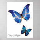 Suche nach morpho poster Bug