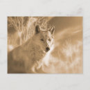 Suche nach weißer wolf postkarten Wolfskunst