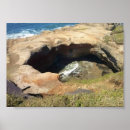 Suche nach oregon küste poster Natur