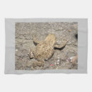 Suche nach amphibien geschirr tücher Natur