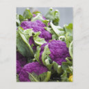Suche nach freier markt poster Frische