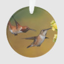 Suche nach kolibri ornamente Vögel und blüte