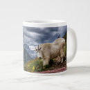 Recherche de montagne tasses Rochers