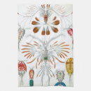 Recherche de biologie cuisine linges Ernst haeckel