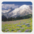 Recherche de mt rainier autocollants Washington