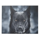 Suche nach schafe notizblock Tiere