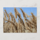 Recherche de farm cartes postales Agriculture