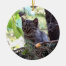 Recherche de chatons ornements Chaton mignon