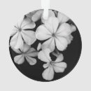 Suche nach dunkel ornamente Grau
