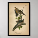 Recherche de deuil posters Oiseau