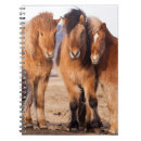 Suche nach isländisches pferd kleine notizbücher Tier