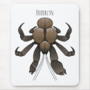 Recherche de crabes tapis souris Pour enfants