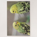 Suche nach parkett puzzle Vögel