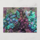 Recherche de cuve cartes postales Raisins de cuve