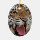 Recherche de chat bengale ornements Faune
