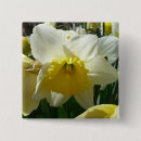Suche nach narzissen blumen buttons Blumenreich