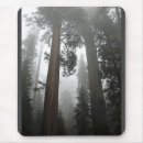 Suche nach riesen mousepads Wald