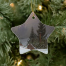 Suche nach winterlandschaft ornamente Schneefall