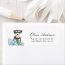 Recherche de schnauzer miniature Animal