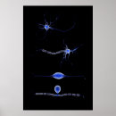 Suche nach neuronen poster Blau