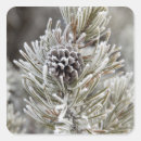Suche nach gefrorenes aufkleber Natur