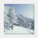 Suche nach schneebedeckte bäume magnete Winter