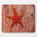 Suche nach seestern mousepads Fisch