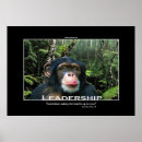 Recherche de chimpanzee posters Primates