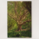 Recherche de magie puzzles Forêt