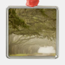 Suche nach eichen ornamente Baum