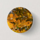 Recherche de feuille de chute badges Botanique
