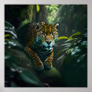 Suche nach dschungel poster Jaguar