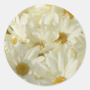 Recherche de ton 2 autocollants Blanc