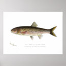 Suche nach silber poster Aquarell