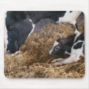 Suche nach heu mousepads Landwirtschaft