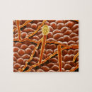 Suche nach biologie puzzle Botanik