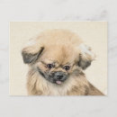 Recherche de chien lion cartes postales Chiot