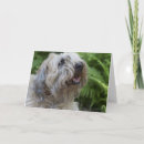 Suche nach wheaten terrier karten Weich