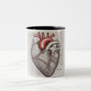 Recherche de anatomie tasses Médical