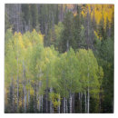 Suche nach espe fliesen Herbst
