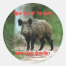 Recherche de hog autocollants Chasse