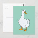 Recherche de canard blanc cartes postales Faune