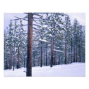 Suche nach 4x5 poster Westen