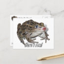 Suche nach küssen sie einen frosch poster Liebe