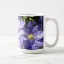 Suche nach clematis tassen Weinrebe