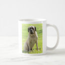 Suche nach englischer mastiff tassen Haustiere