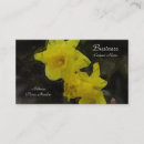 Recherche de jonquilles cartes visite Jardin