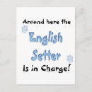 Suche nach englische postkarten Urlaub